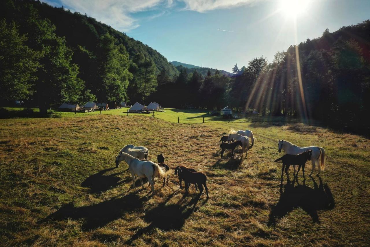 Hotel Eco River Camp Radovljica Esterno foto